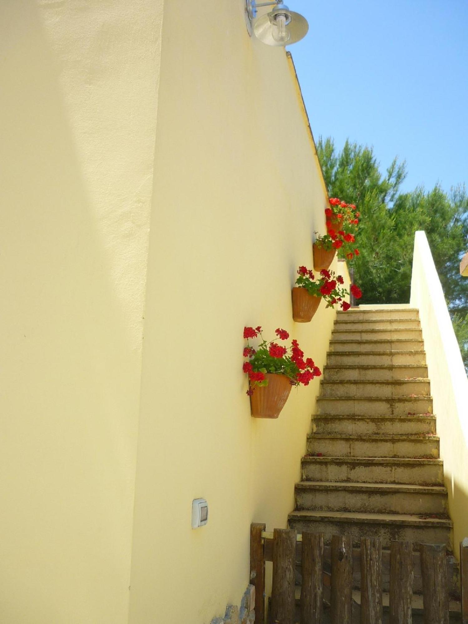 Agriturismo Tenuta La Siesta 갈리폴리 외부 사진