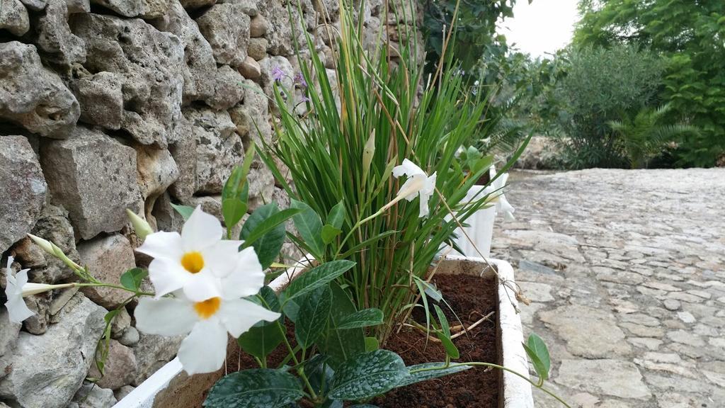 갈리폴리 Agriturismo Tenuta La Siesta 빌라 외부 사진