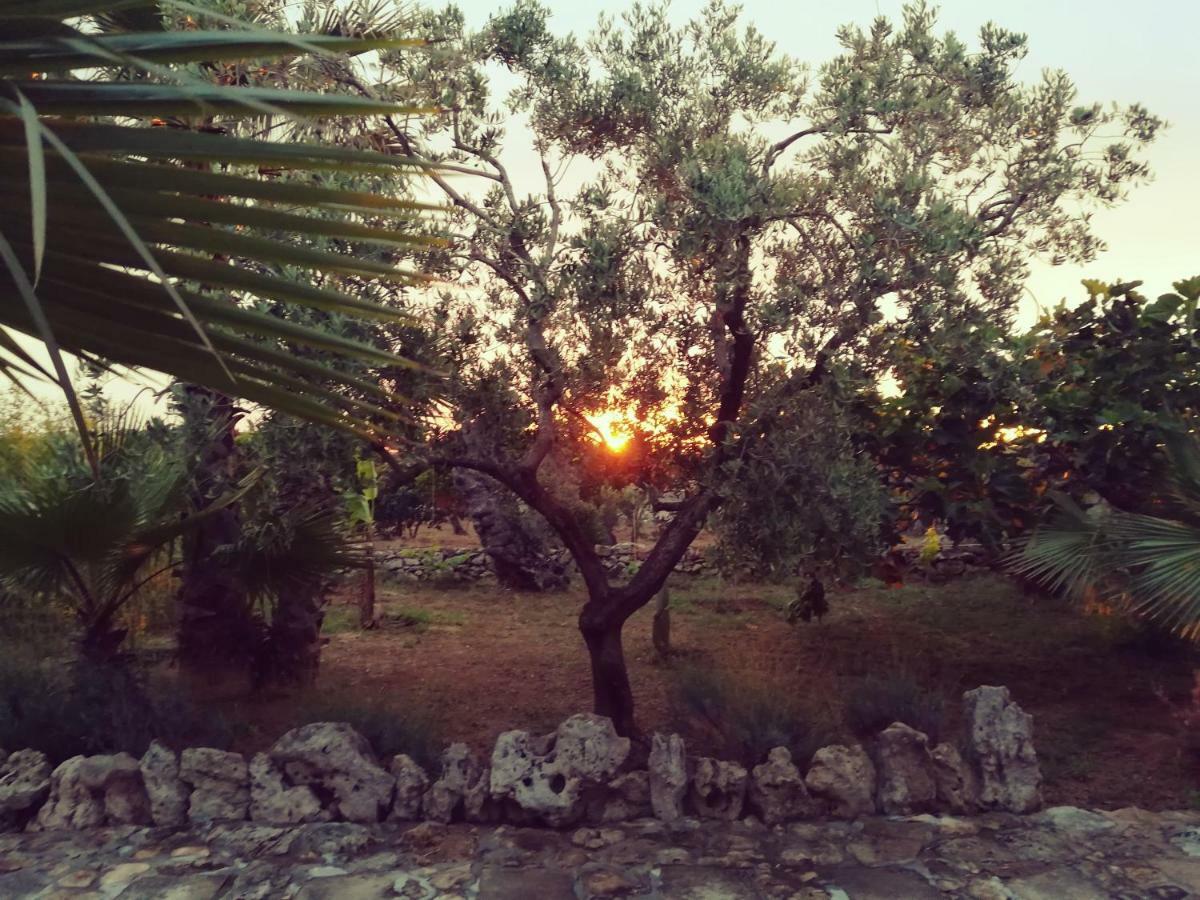 갈리폴리 Agriturismo Tenuta La Siesta 빌라 외부 사진