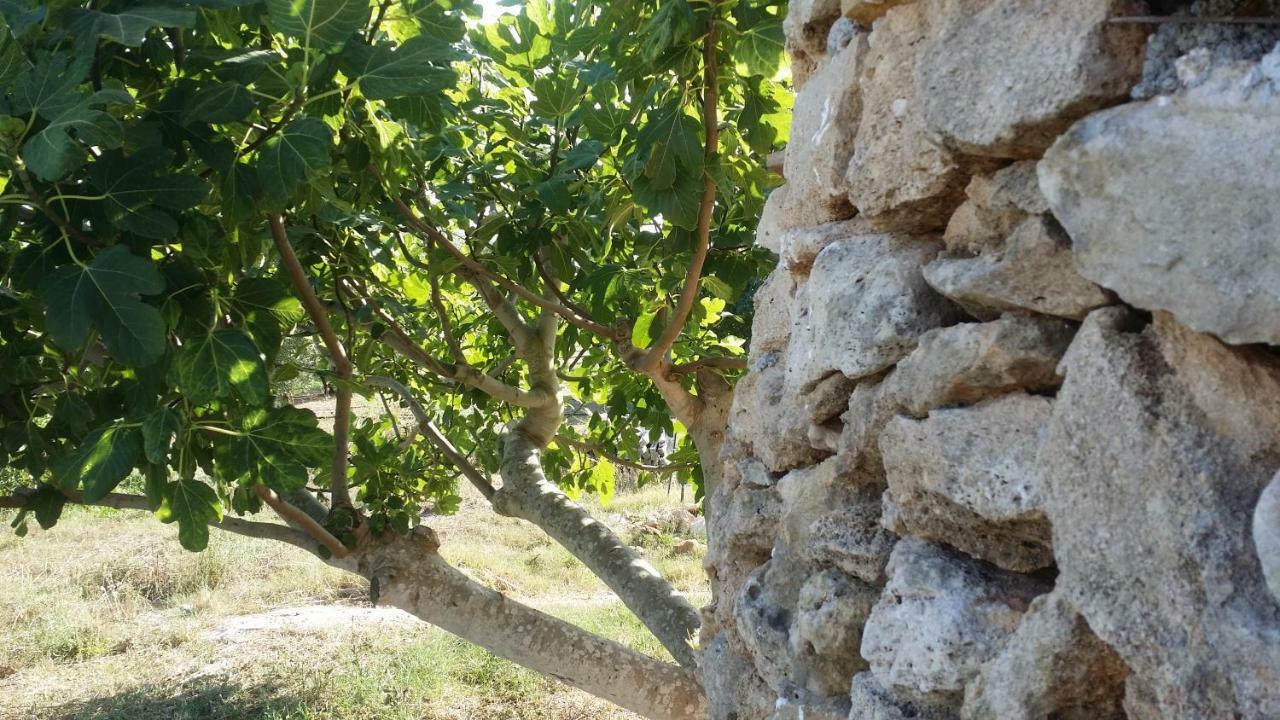 갈리폴리 Agriturismo Tenuta La Siesta 빌라 외부 사진