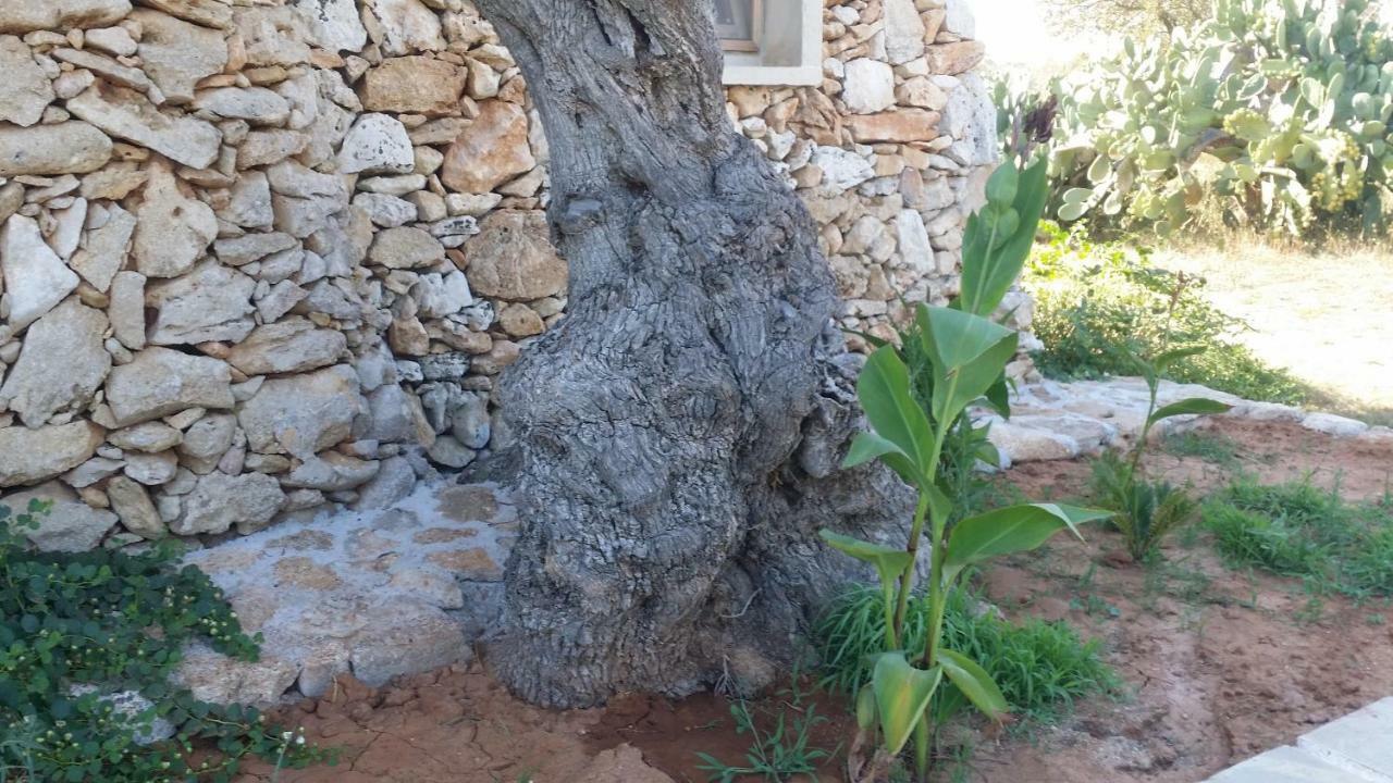 Agriturismo Tenuta La Siesta 갈리폴리 외부 사진