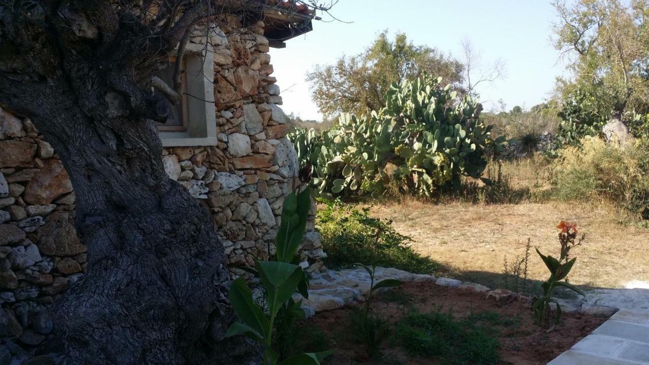 Agriturismo Tenuta La Siesta 갈리폴리 외부 사진